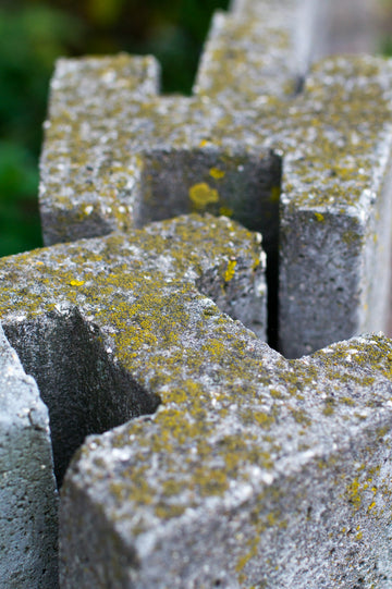 Close-up of weathered concrete blocks with moss.
